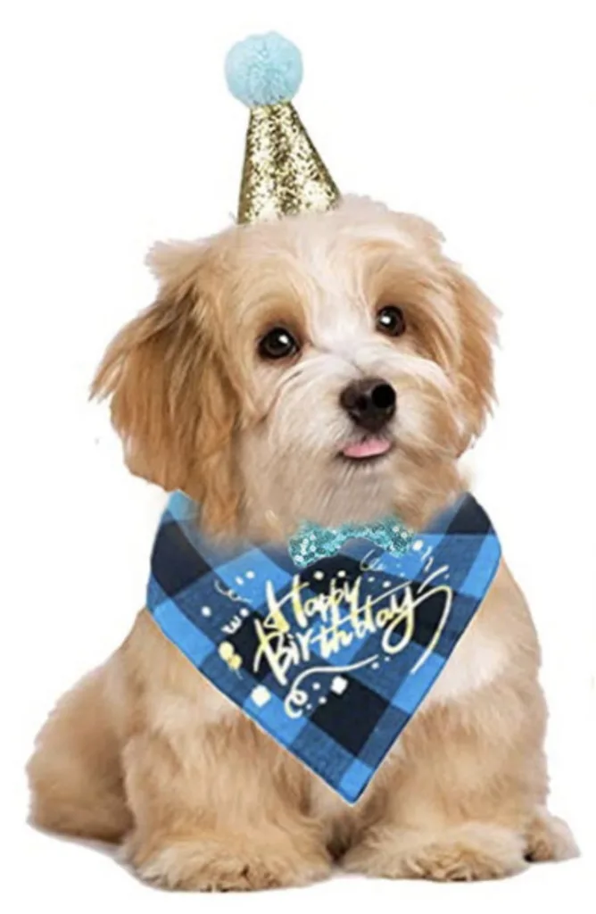 Birthday Bandana, Hat, and Bow Tie - Blue Celebration Outfit