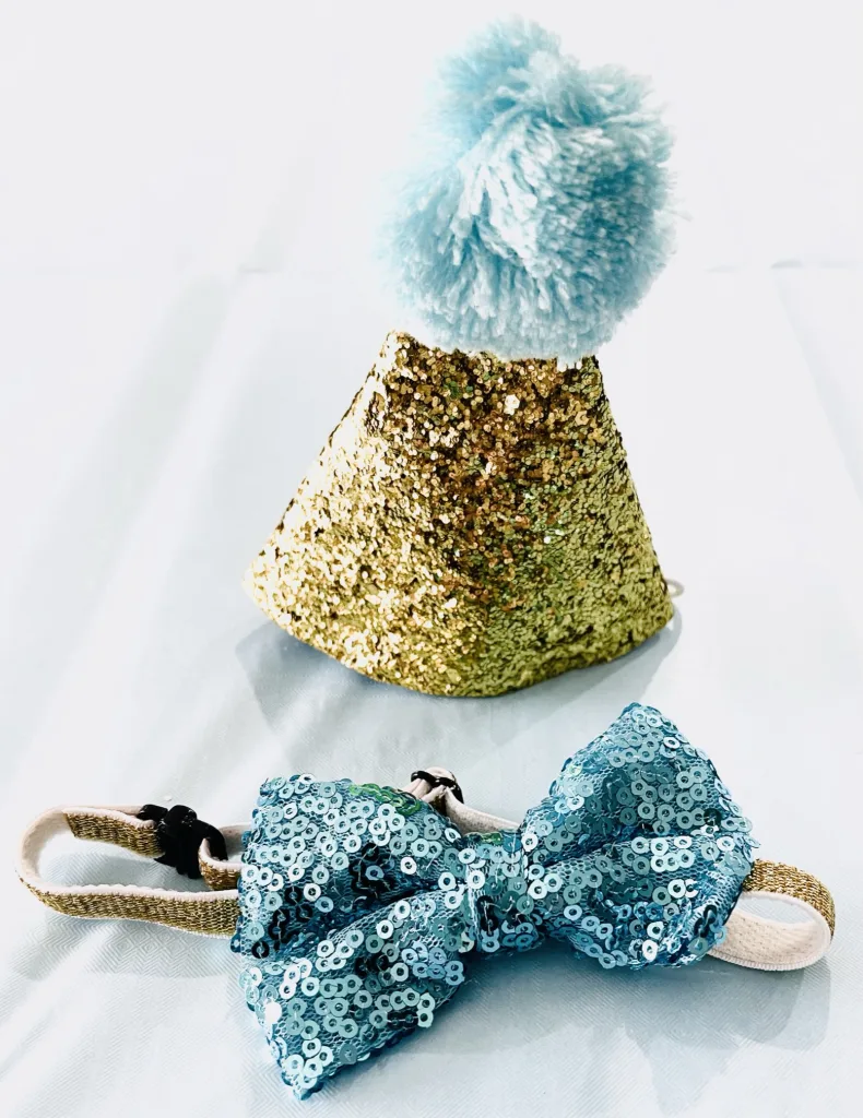 Sparkly Hats and Bow Ties - Pet Party Outfit