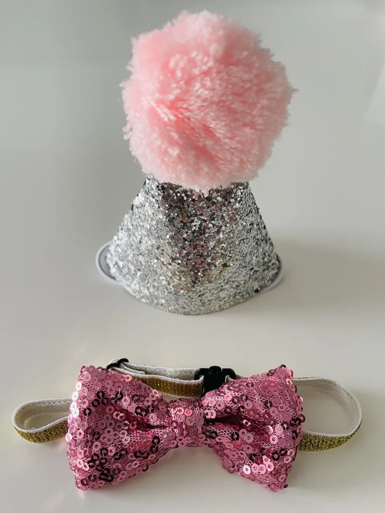 Doggy Party Hat and Bow Tie - Pink and Silver Outfit
